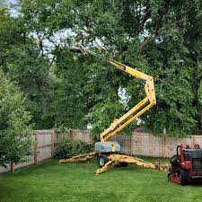 Grass Overseeding in Jackson, KY